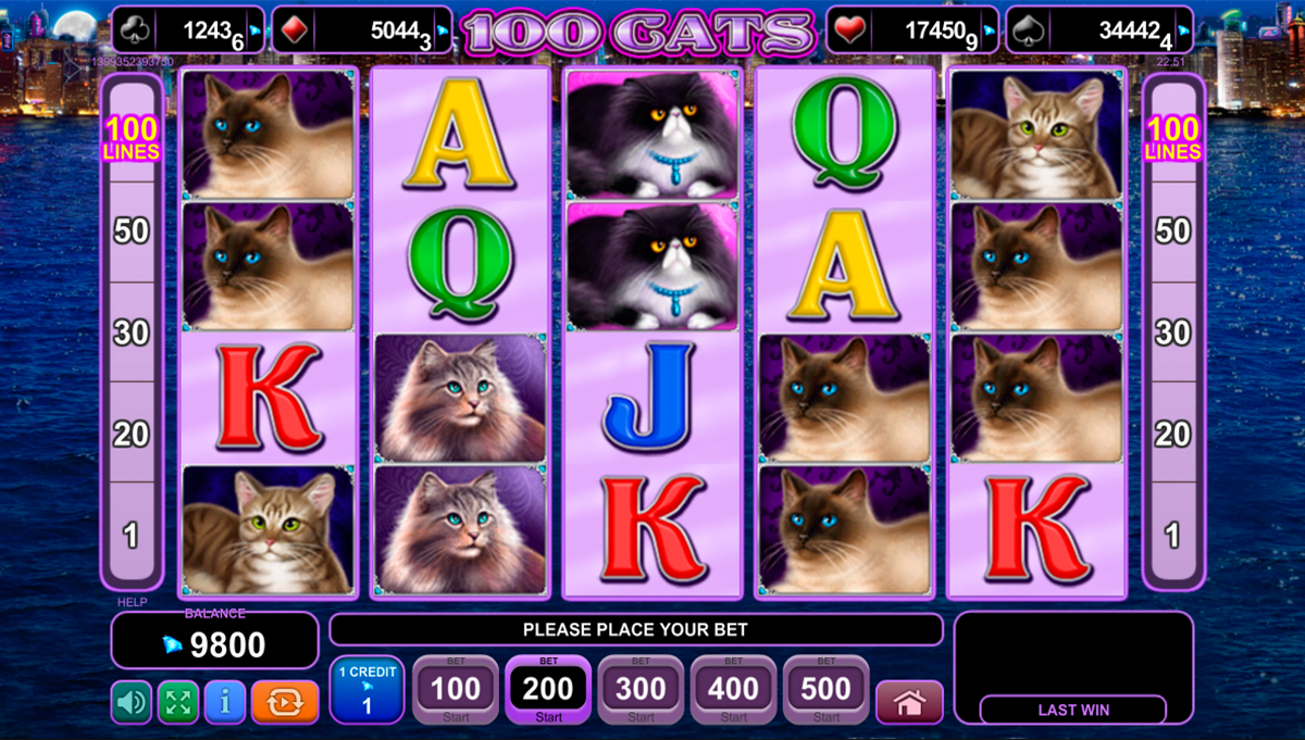 Free cats slot machine game