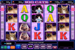 100 cats egt игровой автомат 