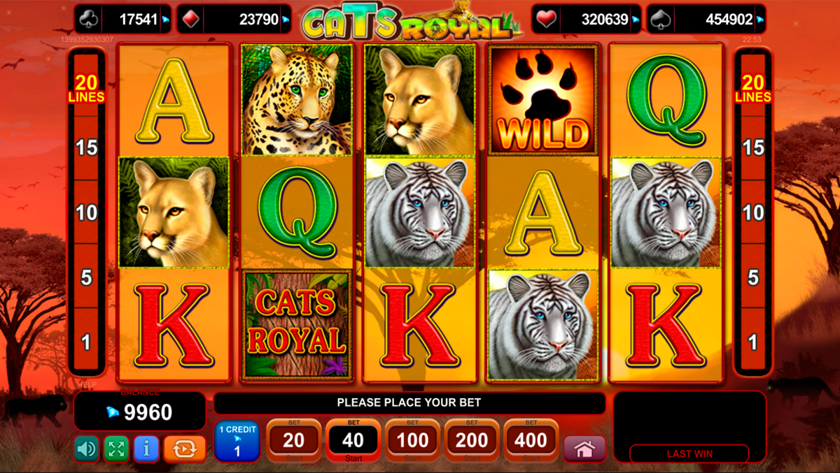 Игровые автоматы кэт играть на рубли. Cat Casino игровые автоматы. Игра в казино тигр. Слот с кошками. Copy Cats Slot.