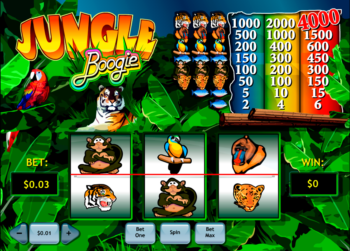 jungle boogie playtech игровой автомат 