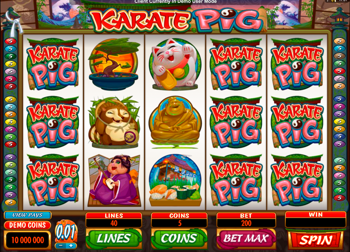 karate pig microgaming игровой автомат 