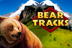 logo bear tracks novomatic слот 