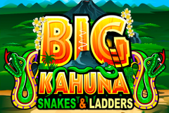 logo big kahuna snakes and ladders microgaming слот 