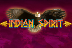 logo indian spirit novomatic слот 