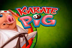 logo karate pig microgaming слот 