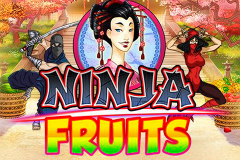 logo ninja fruits playn go слот 