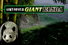 logo untamed giant panda microgaming слот 