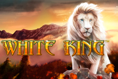 logo white king playtech слот 
