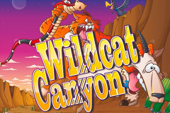 logo wild cat canyon nextgen gaming слот 