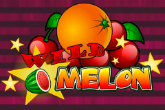logo wild melon playn go слот 
