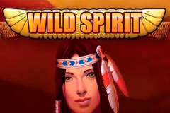 logo wild spirit playtech слот 