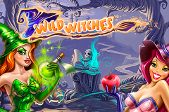logo wild witches netent слот 