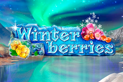 logo winterberries yggdrasil слот 