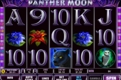 panther moon playtech игровой автомат 