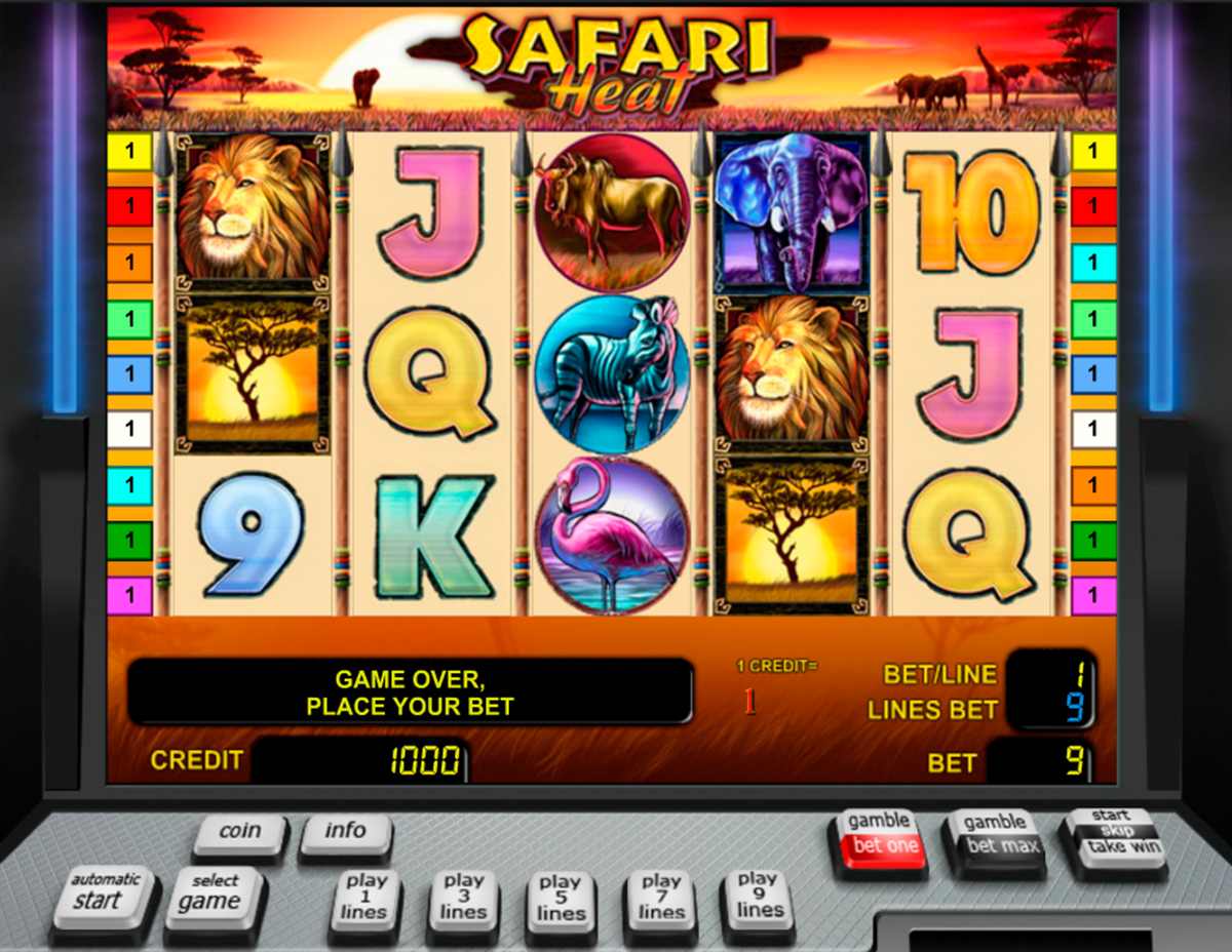 safari heat novomatic игровой автомат 